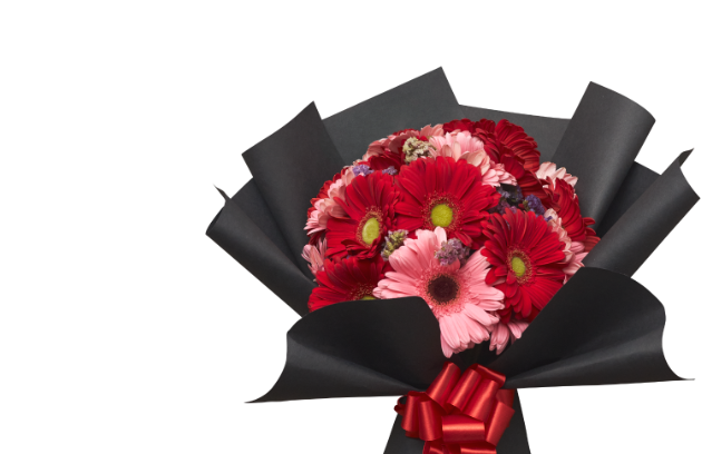 ramo de gerberas bicolor con flor statice y envuelto con papel negro con moño rojo