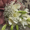 IMG_6801 Reposo