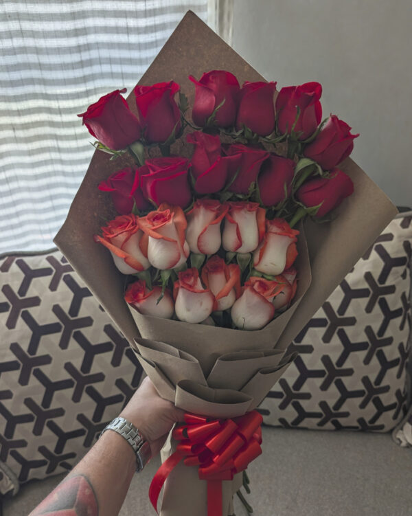 PXL_20250922_191748065 Lino