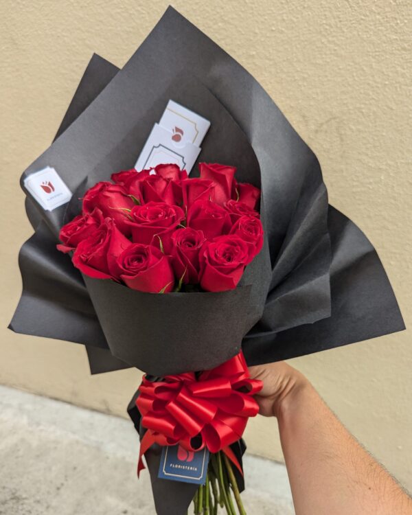 R-003 Rojo Absoluto