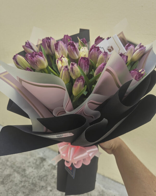 PXL_20241111_192303378 Cúspide