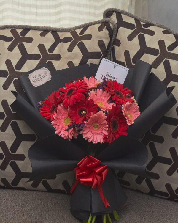 ramo_de_gerberas_bicolor_con_statice_1 Ramo redondo de gerberas bicolor con flor statice y envoltura negra, arreglo floral equilibrado visto de frente