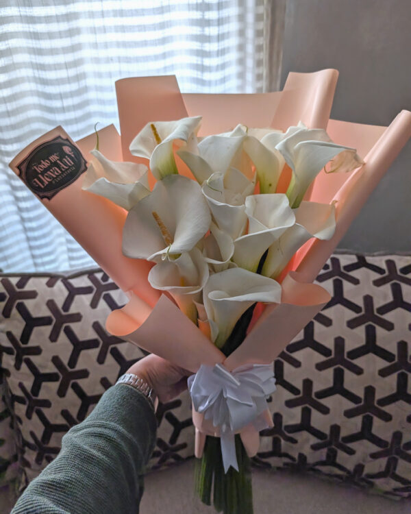 PXL_20251126_163349157 Etérea