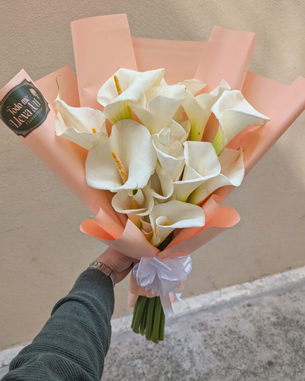 PXL_20251126_171740438 Etérea